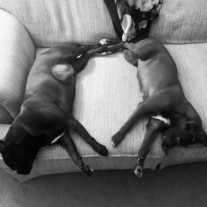 Fundraising Page: Casey Weisenbach